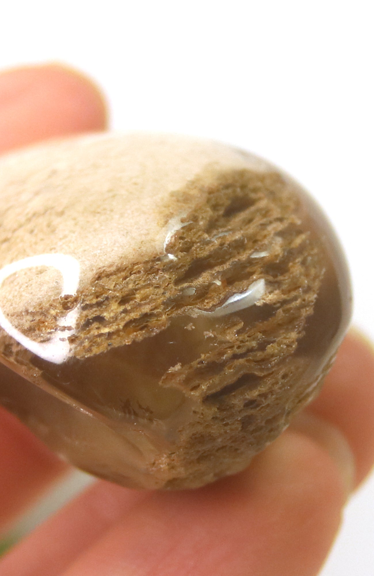 Lodalite Quartz Lens